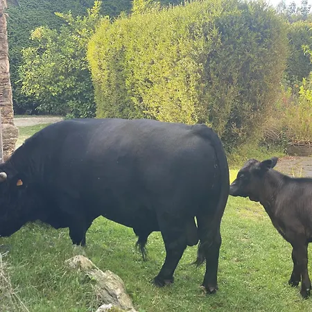 Aldea Lamacido Feriehus *