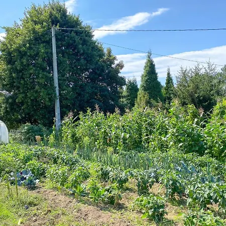 Aldea Lamacido Feriehus