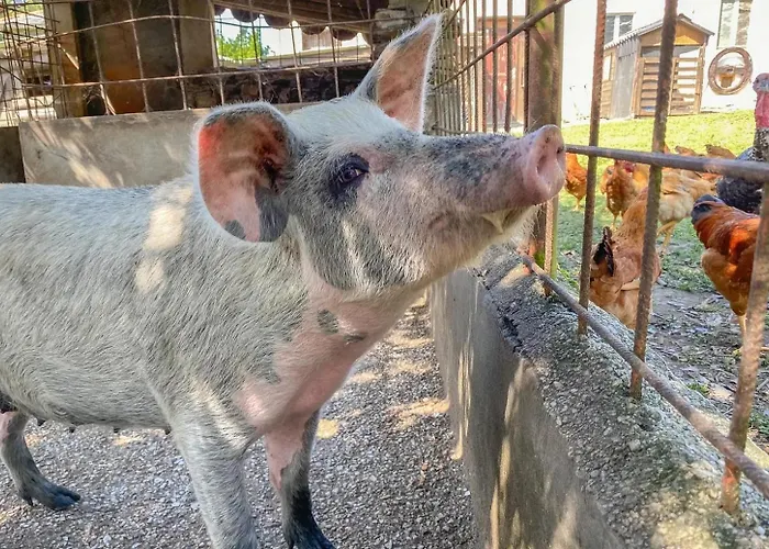 Aldea Lamacido בית נופש