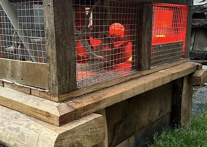 Aldea Lamacido בית נופש Loiba